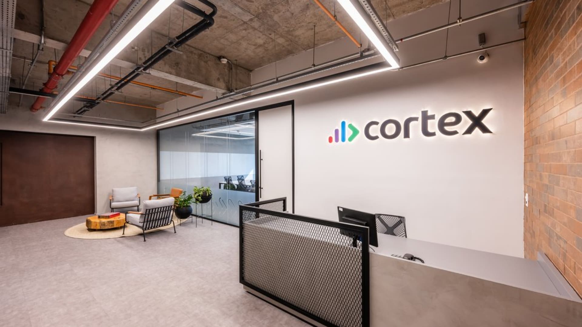 BG - CORTEX - 1 (1)