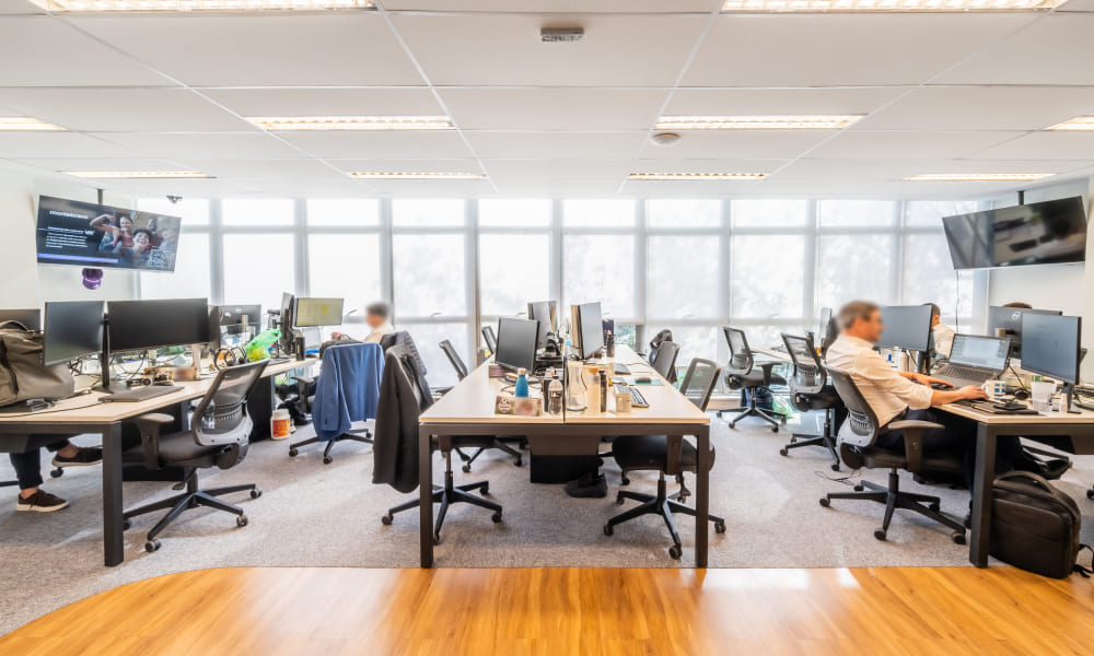Imagem - Corporativo - Montebravo - 5